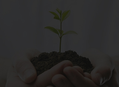 凯时游戏·(中国)首页