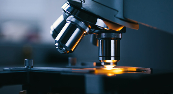 凯时游戏·(中国)首页